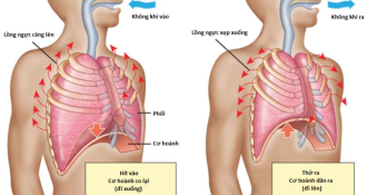 Phương pháp tập thở cho bệnh nhân copd cải thiện bệnh tức thì!